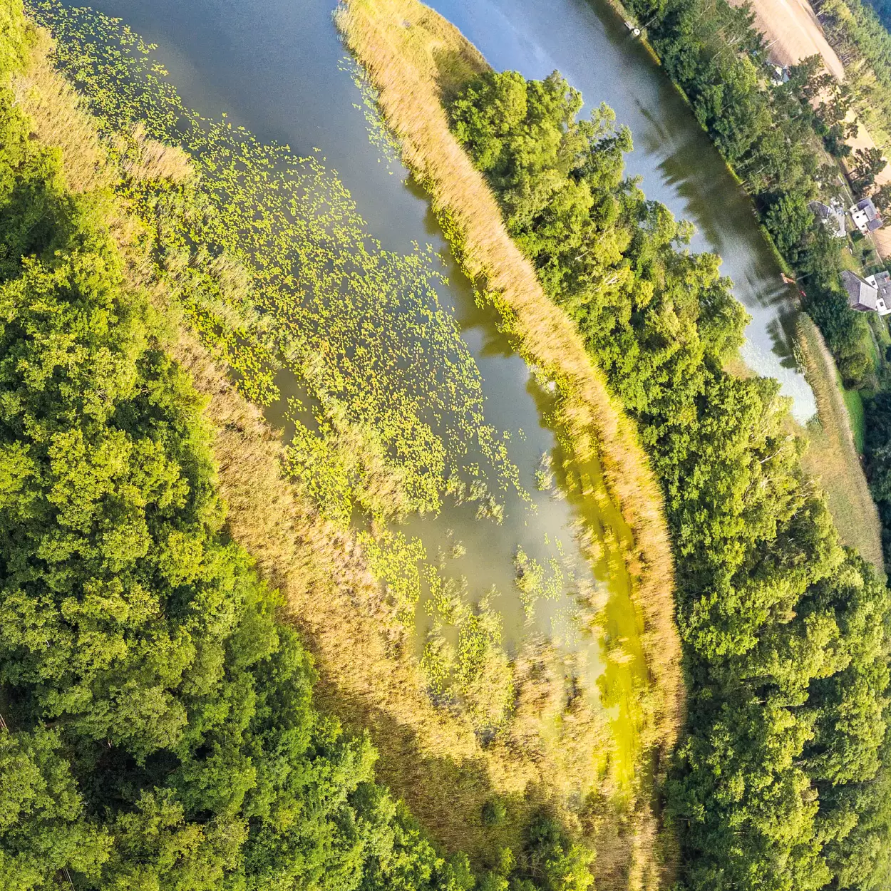 Grodzisko Raciąż #732 - obrazek 5